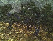 Vincent Van Gogh The Olive Grove china oil painting artist